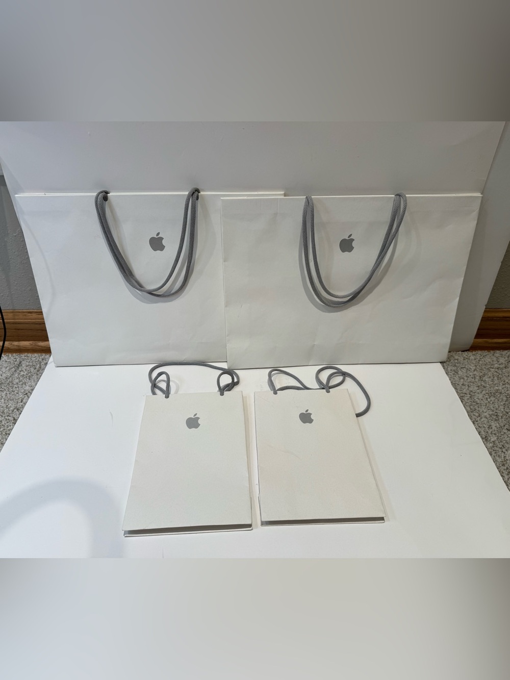 Set of 4 Official Apple Store Paper Shopping Bags (2 Sizes)
